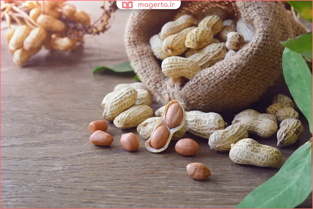 دانه‌های بادام زمینی خام با پوست روی سطح چوبی