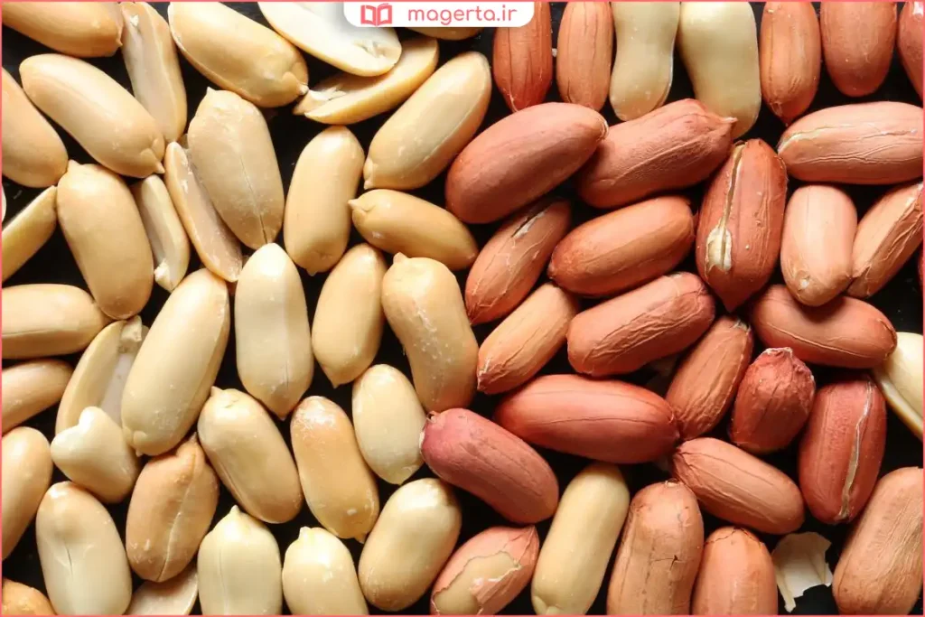 بادام زمینی بو داده آماده مصرف در ظرف خانگی