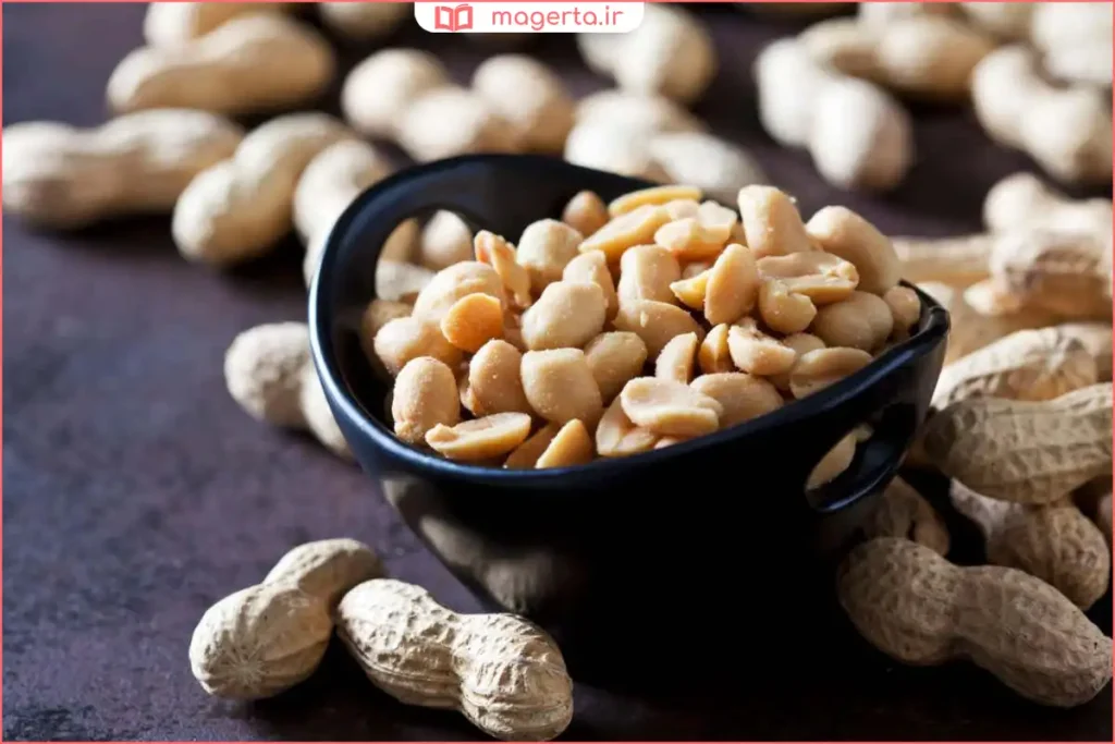 مغز بادام زمینی تازه و سالم نمای نزدیک