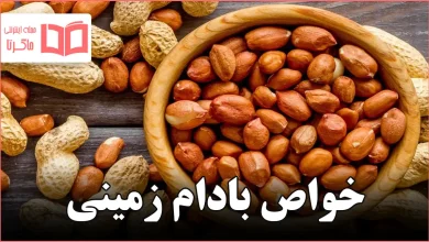 خواص بادام زمینی