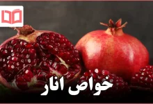 خواص انار