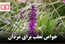 خواص ثعلب برای مردان