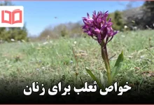 خواص ثعلب برای زنان