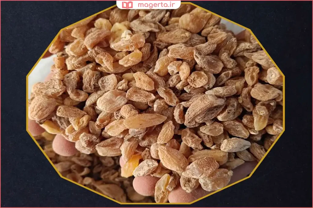 ثعلب قلوه‌ای خشک‌شده با شکل دانه‌ای و رنگ طبیعی