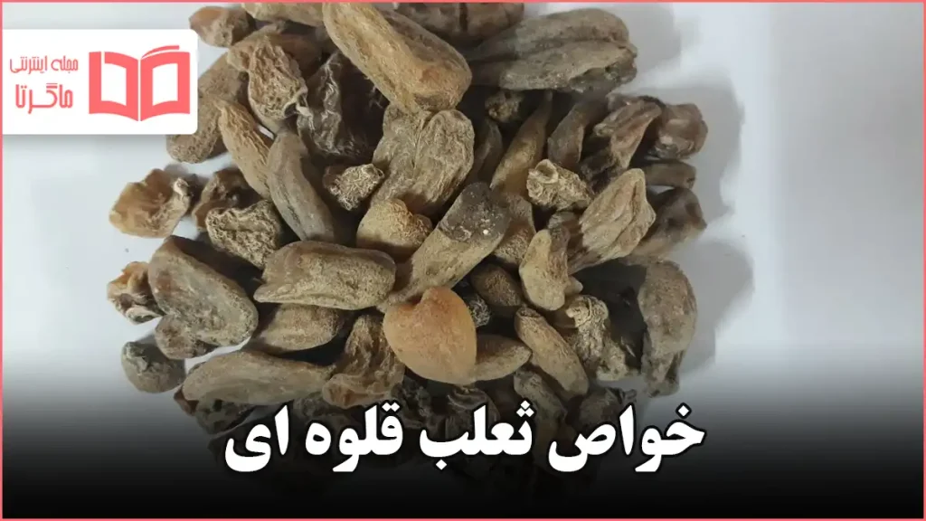 خواص ثعلب قلوه ای
