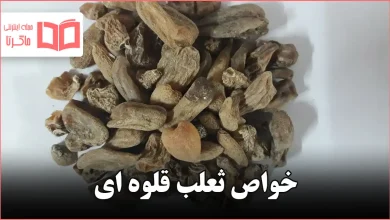 خواص ثعلب قلوه ای