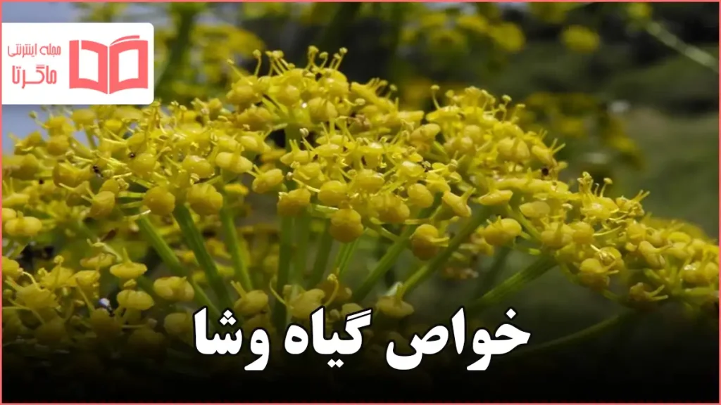 خواص گیاه وشا