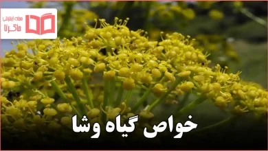 خواص گیاه وشا