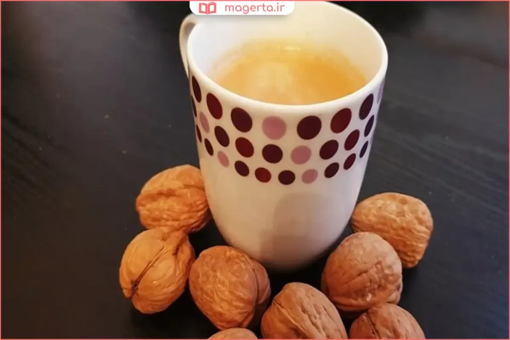 نمای نزدیک از بافت سخت و چوبی پوست گردو