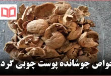 خواص جوشانده پوست چوبی گردو