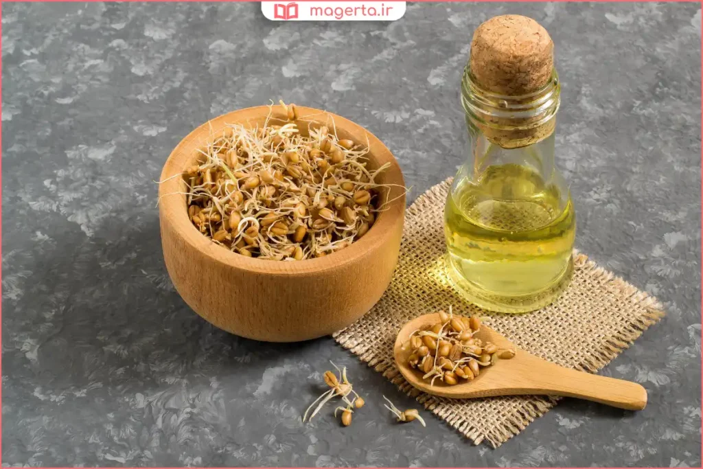 جوانه گندم شسته و آبکشی‌شده برای استفاده غذایی