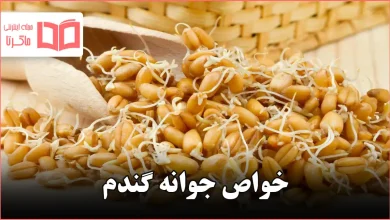 خواص جوانه گندم