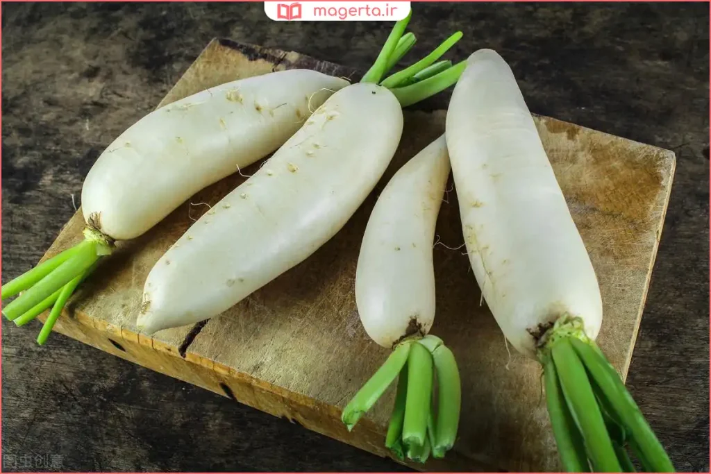 ترب سفید تازه با پوست صاف روی سطح چوبی