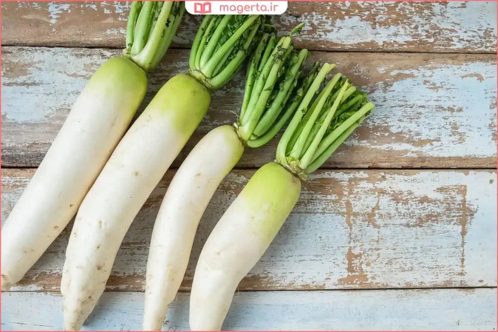 ترب سفید کامل در کنار سبزیجات تازه