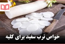 خواص ترب سفید برای کلیه