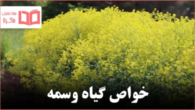 خواص گیاه وسمه