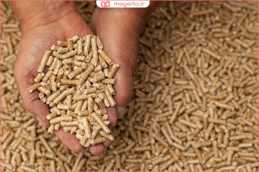 مرغ تخم‌گذار سالم در محیط نگهداری استاندارد