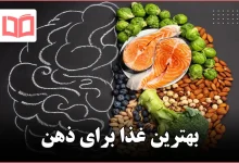 بهترین غذا برای ذهن