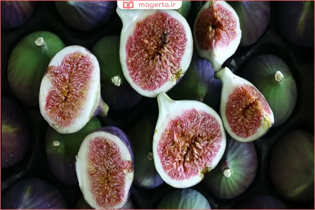 انجیر تازه در کنار برگ درخت با مفهوم تغذیه قرآنی