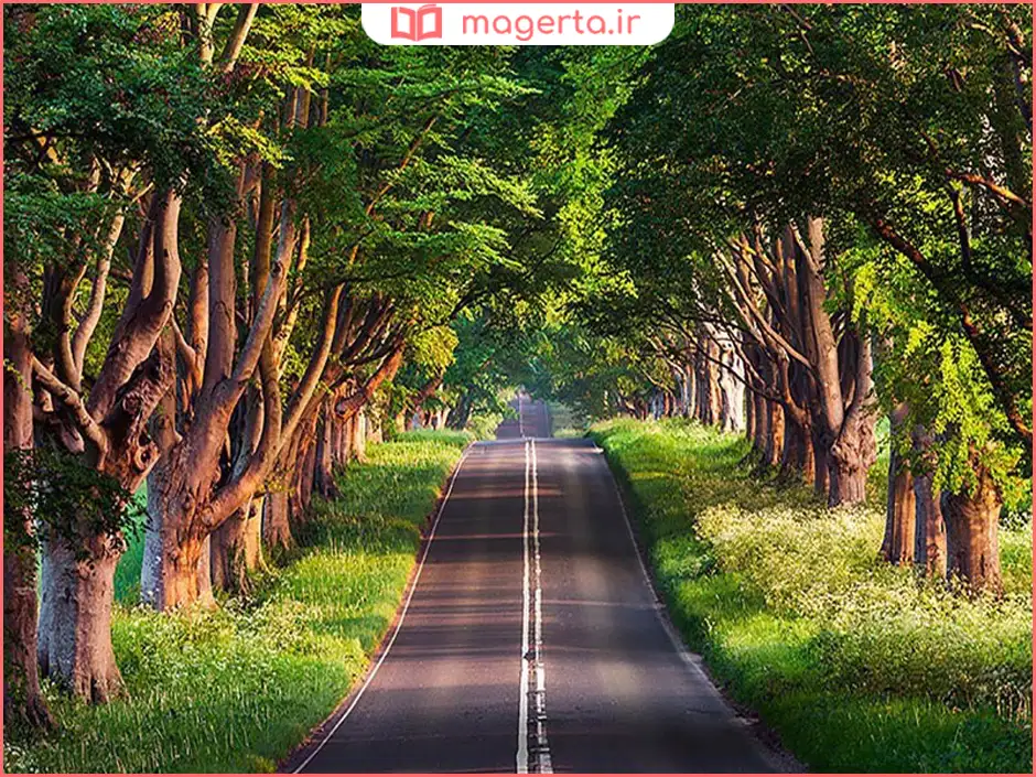 جنگل گیسوم نزدیک آستارا