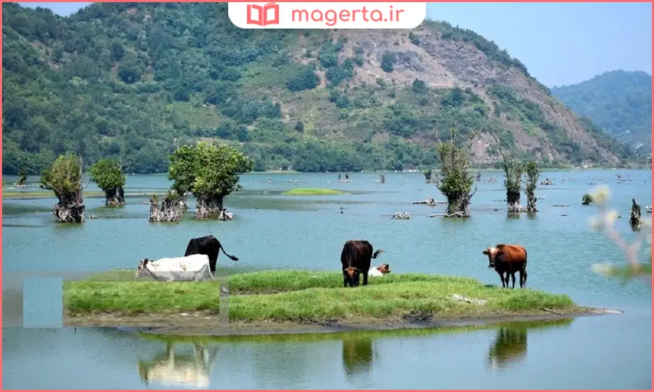 تالاب طبیعی استیل نزدیک آستارا