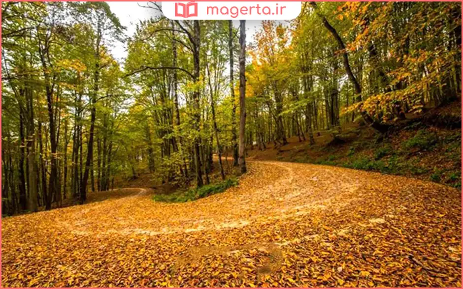 جنگل‌های هیرکانی