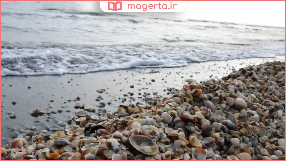 ساحل صدف آستارا