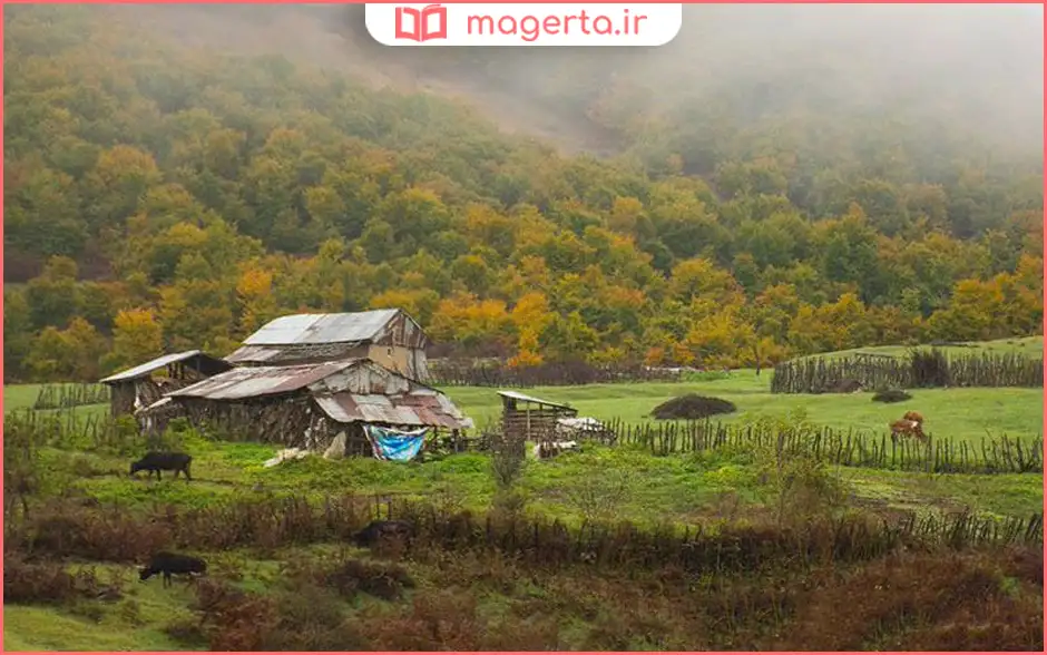 جنگل‌های سیاهکل