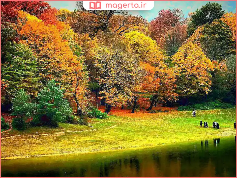 پارک جنگلی ناهارخوران