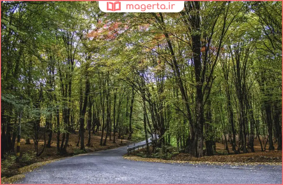 پارک جنگلی النگدره