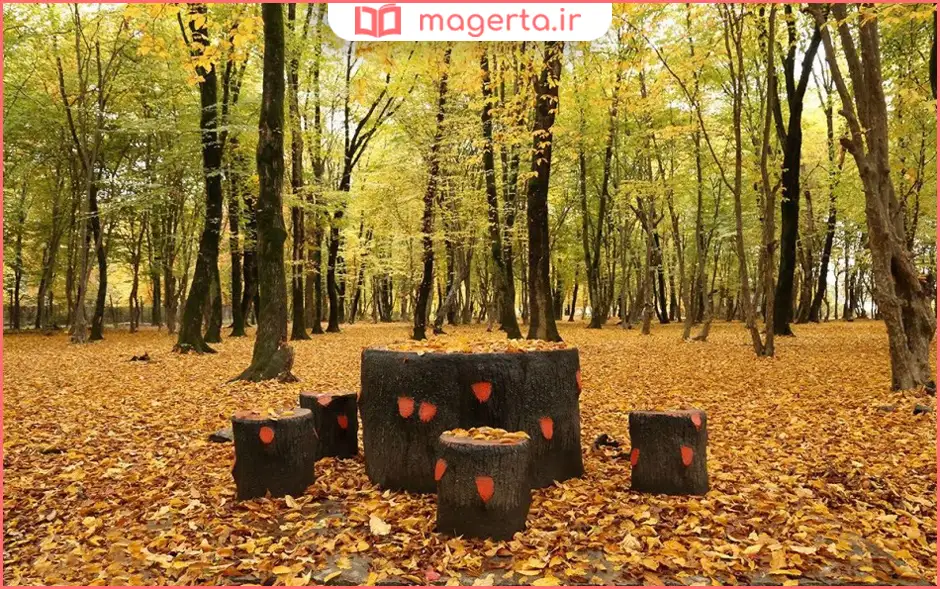 پارک جنگلی قرق