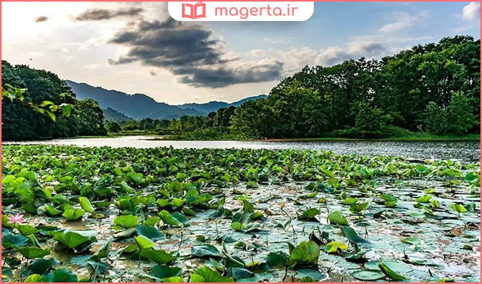 تالاب سوستان