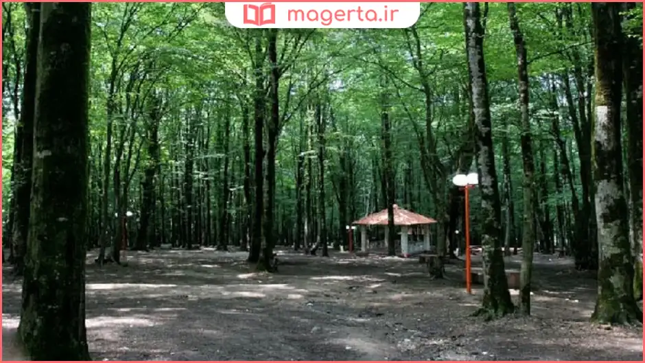پارک جنگلی میرصفا