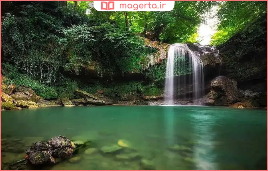 جنگل دالخانی