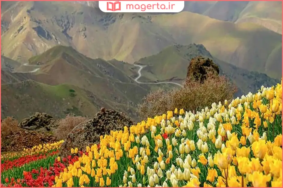 روستای کندر