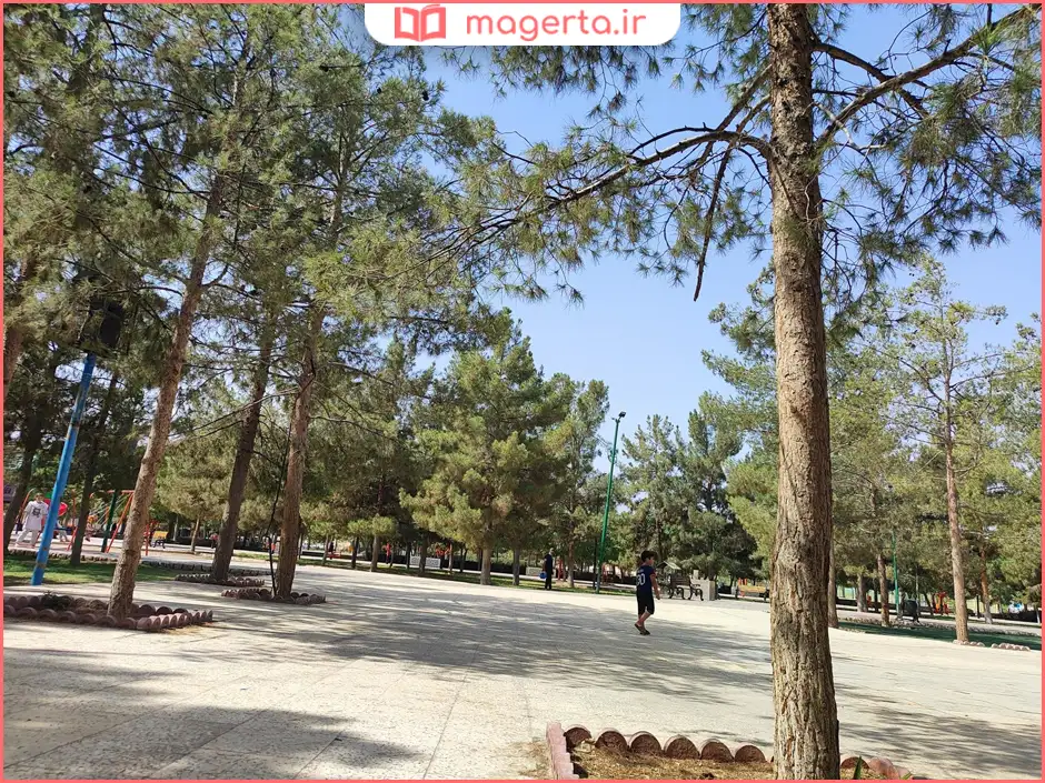 پارک جوان کاشان