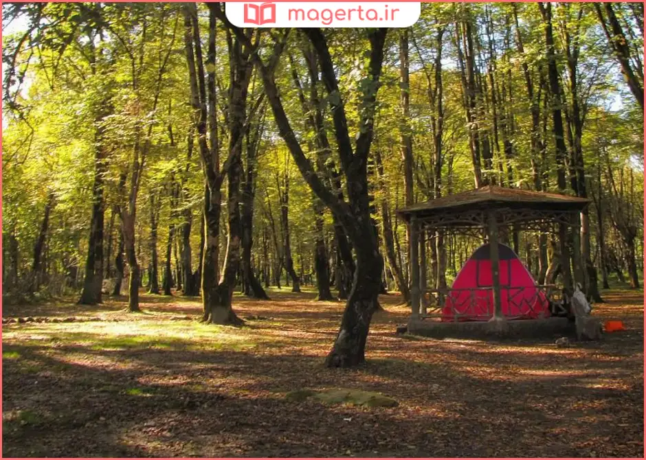 پارک جنگلی سی‌سنگان