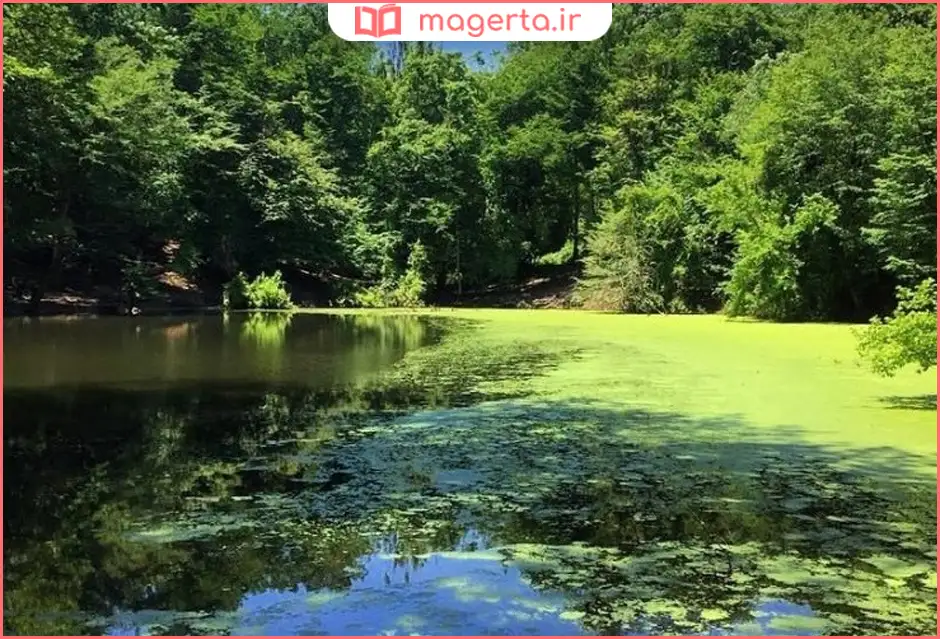 مرداب کندوچال