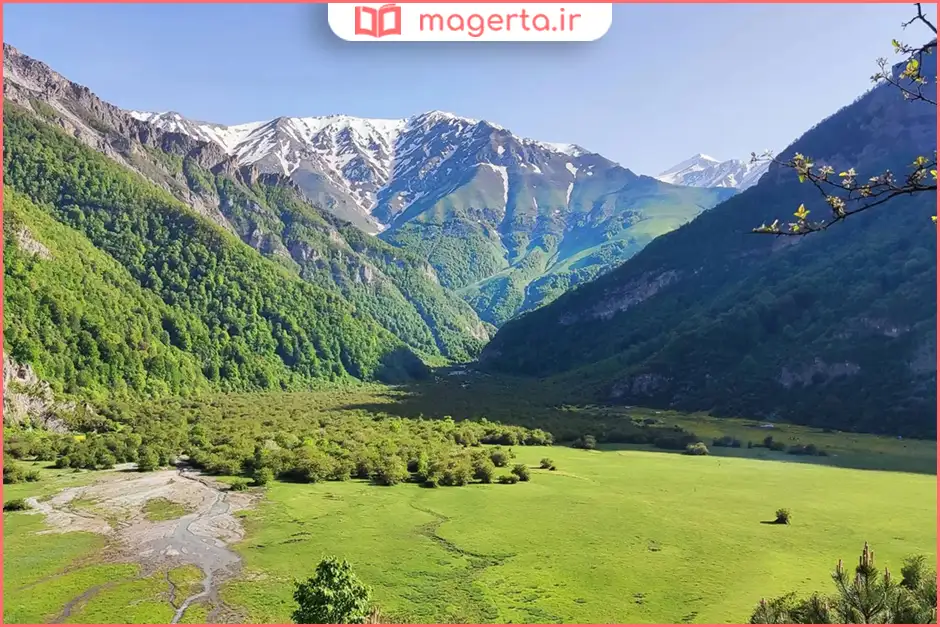 جنگلهای دو هزار و سه هزار