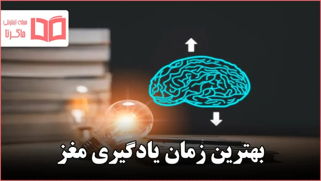 بهترین زمان یادگیری مغز