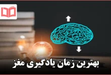 بهترین زمان یادگیری مغز