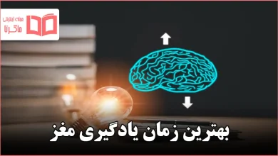 بهترین زمان یادگیری مغز