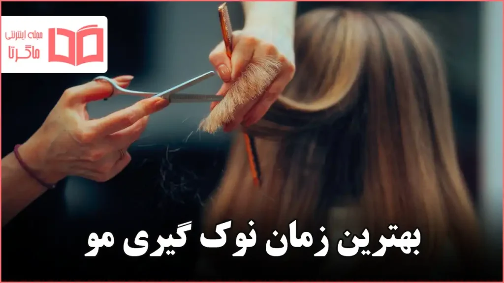 بهترین زمان نوک گیری مو