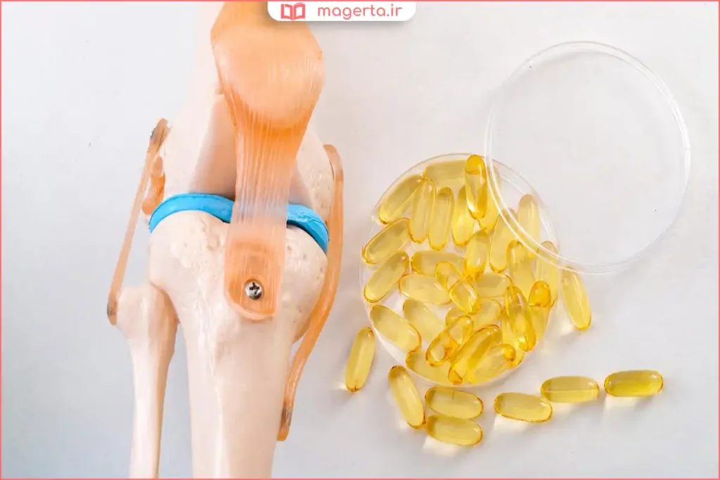 تغذیه مفید برای کمک به غضروفسازی و سلامت مفاصل