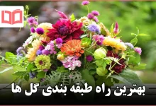 بهترین راه طبقه بندی گل ها