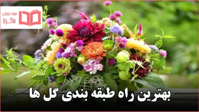 بهترین راه طبقه بندی گل ها