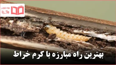 بهترین راه مبارزه با کرم خراط