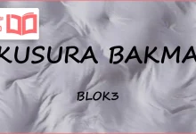 متن و ترجمه آهنگ KUSURA BAKMA از BLOK3