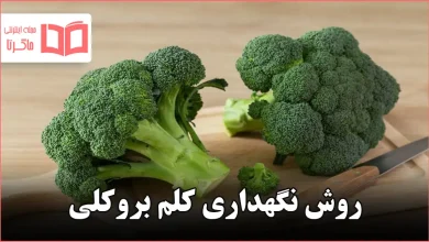 روش نگهداری کلم بروکلی