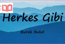 متن و ترجمه آهنگ Herkes Gibi از Burak Bulut